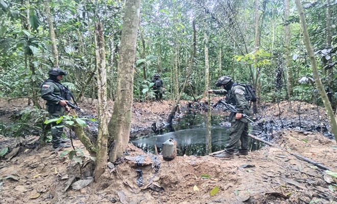 Esta acción policial representa un significativo avance en la defensa del medio ambiente