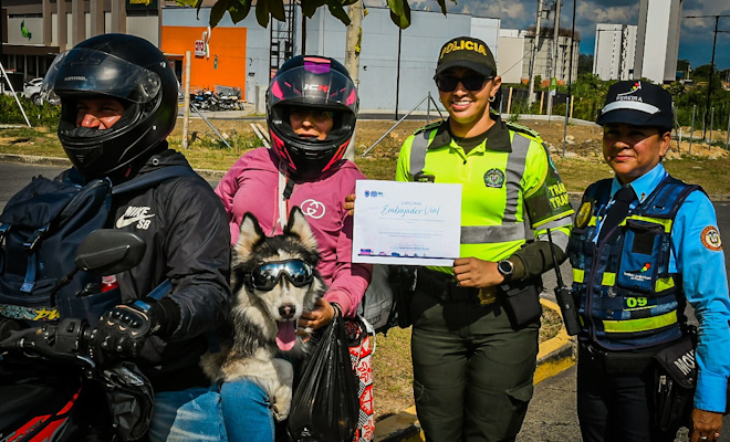 Campañas de prevención vial 