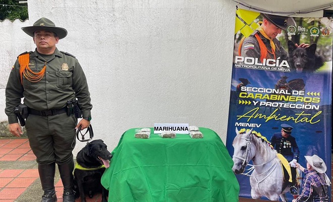 En Neiva, son incautados 450 gramos de marihuana