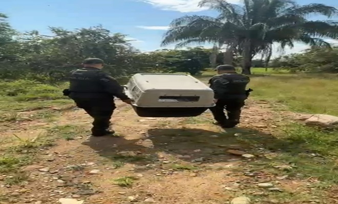 La Policía Nacional captura a un hombre en la comuna 9 de Neiva por el delito de maltrato animal