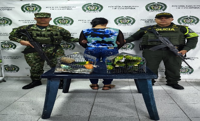 Policía en Norte de Santander, adelanta acciones para la protección de la fauna silvestre.