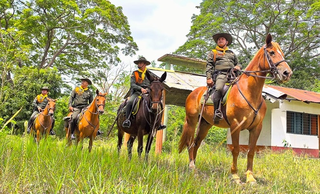 Policías montados en caballos