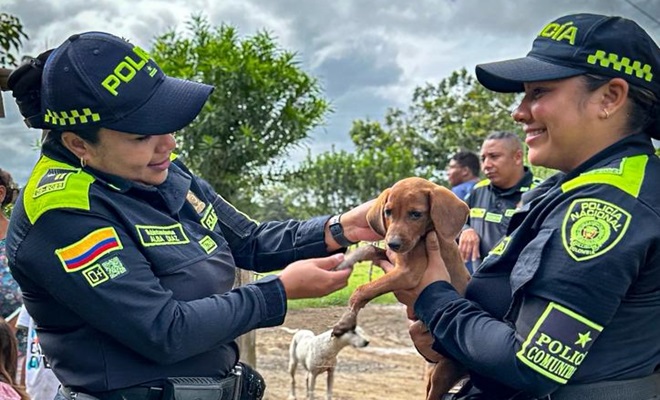 Policías cargando un perro 