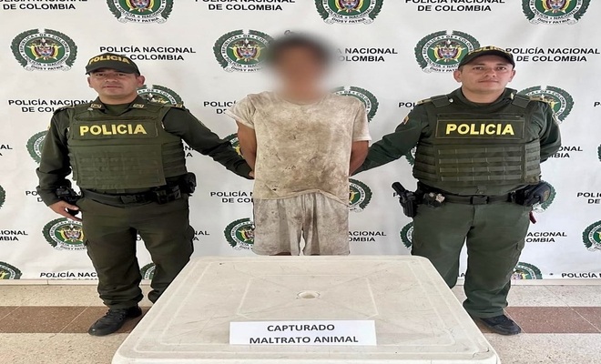 La primera captura por maltrato animal bajo la 'Ley Ángel' en Cundinamarca