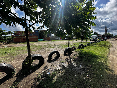 Con ornato y siembra de árboles recuperamos zona verde en Currulao