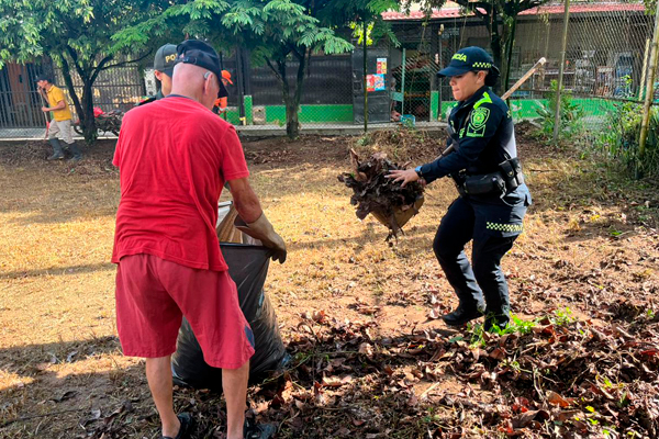Esfuerzo conjunto de la institución y la comunidad