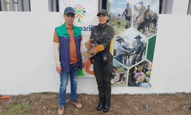 Rescate_de_Zarigueya