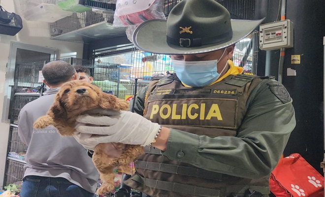 Revisión a canino por parte de Policía Ambiental