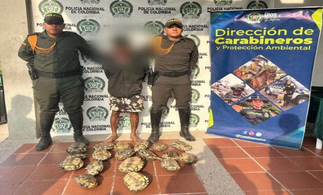 Se investigan si estas personas estarían involucrados en la caza indiscriminada e irresponsable (1)