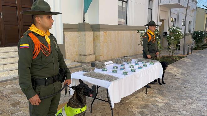 Se incautaron 5.500 gramos de estupefacientes en “narco-encomienda”