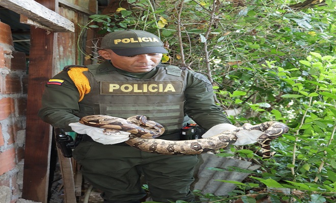 Protegemos el Medio Ambiente y la Fauna Silvestre