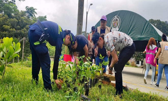 Sembrando Paz en el terrotorio