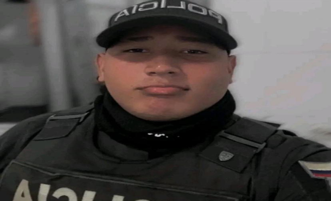 Sereno, atento, compañero.