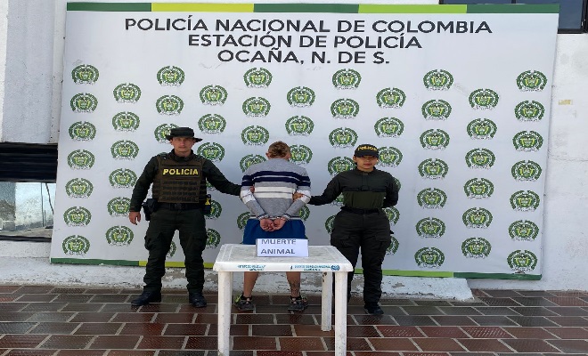 Trabajo por la protección de los animales