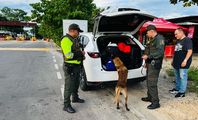 Verificación de vehículos con guía canino