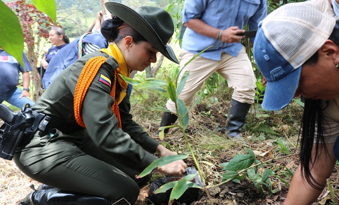 Sembramos 65 mil árboles en todo el país