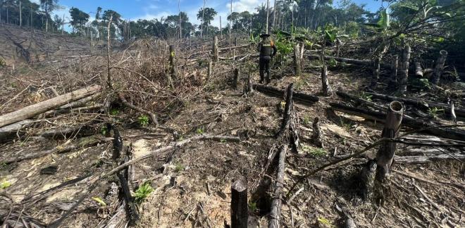 Acciones de protección del medio ambiente