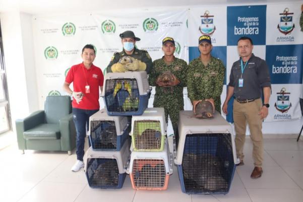 Acciones para conservar la fauna silvestre