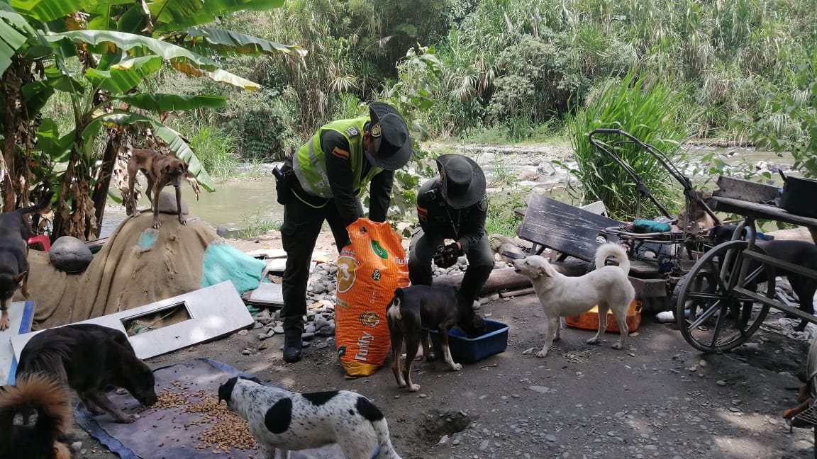 En conjunto con La fundación SOS Huellitas, llevamos comida para sus animales y un mercado para su sustento.