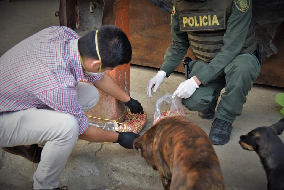 alimentandos_los_peludos