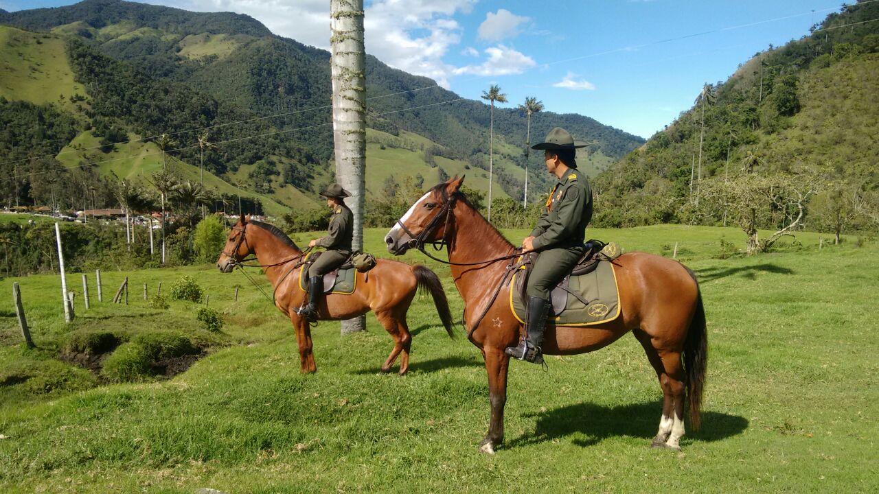 ApoyosemanasantaDICAR3