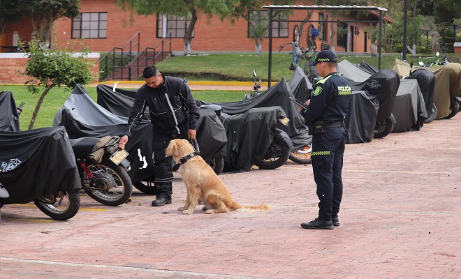 Tr&aacute;mite certificaci&oacute;n especialidad canina en el aplicativo SICECK9