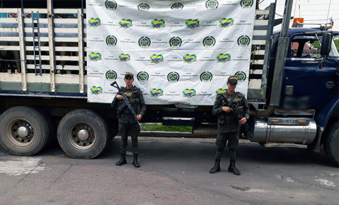 La Policía Nacional-en-el Meta-incautó-80-semovientes-de-dudosa procedencia