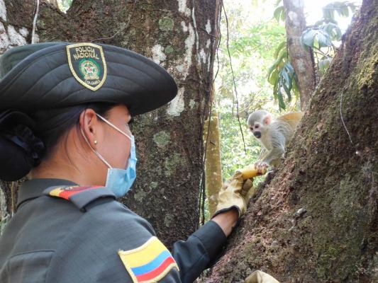 Avanzamos en la protección de la fauna silvestre