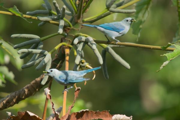 Participamos de una nueva versión del Global Big Day
