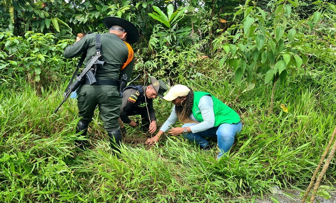 Celebramos el día de la tierra