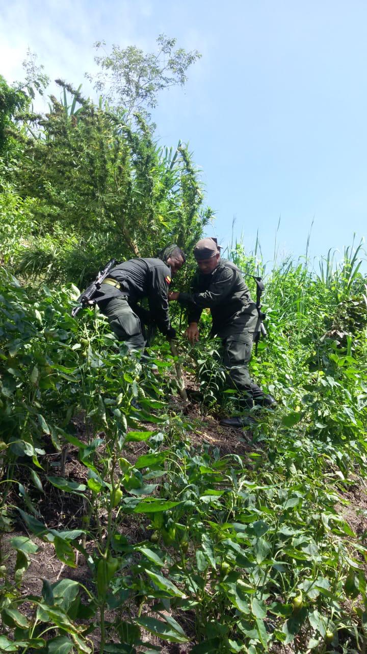 Buzos-de-la-Policía-Antinarcóticos-encontraron-cocaína 