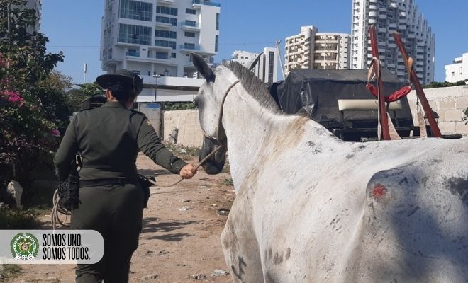 Continuamos en la lucha contra el maltrato animal3