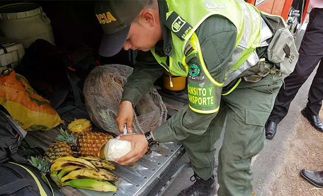 En-Ofensiva-contra-el-tráfico de estupefacientes-caen-narco piñas-y-narco ahuyama