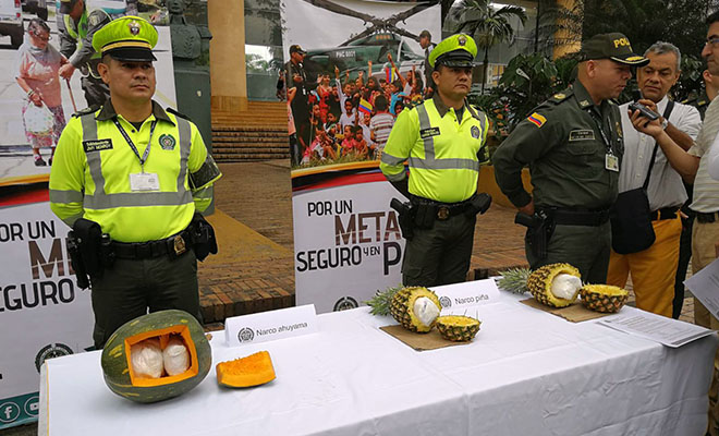 En-Ofensiva-contra-el-tráfico de estupefacientes-caen-narco piñas-y-narco ahuyama