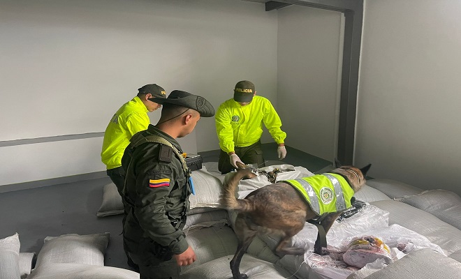 Canino olfateo un kilo de marihuana el cual iba a ser distribuido en Medellin
