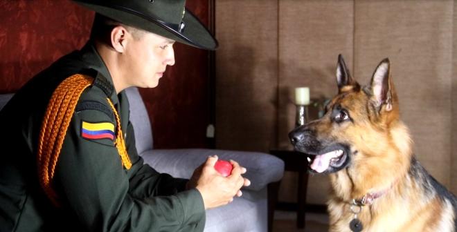 Subintendente de la Policía en Cali, entrenó a un canino para salvar la vida de su cuidadora