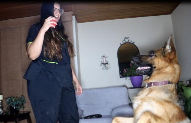 Subintendente de la Policía en Cali, entrenó a un canino para salvar la vida de su cuidadora