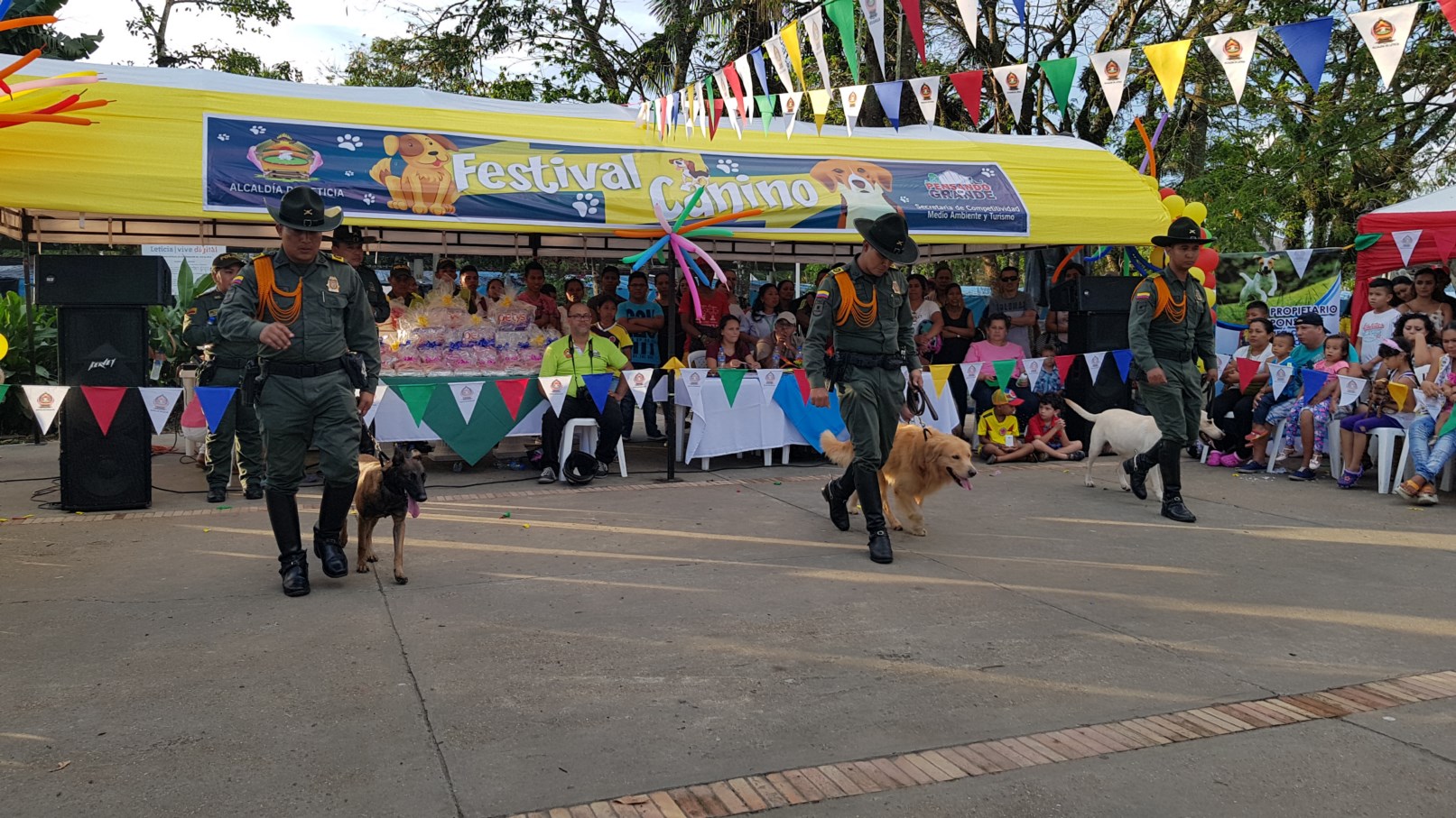 festival Canino