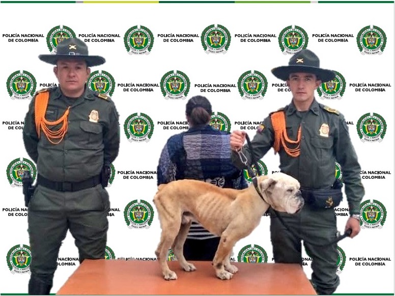 Captura por maltrato animal