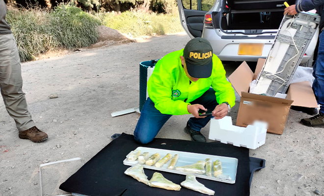 Incautan 8 proveedores y 15 cartuchos 9 mm