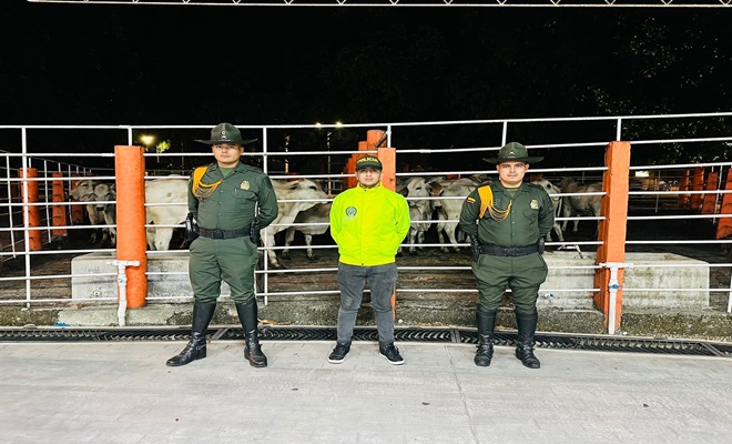 policías visibilizando la recuperación de ganado hurtado
