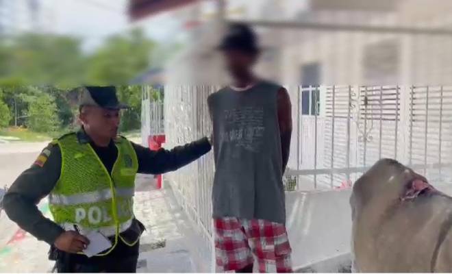 Capturado por maltrato animal