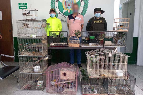 Capturamos persona e incautadas 46 especies de fauna silvestre 