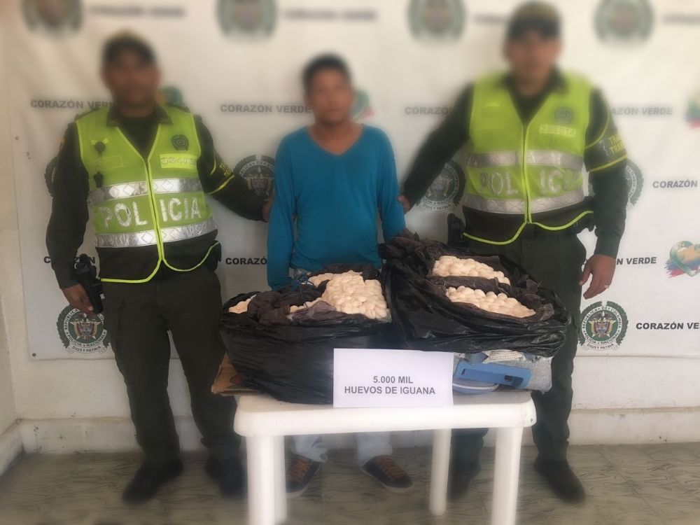 capturado-trafico-huevos-iguanas-zona-bananera-magdalena