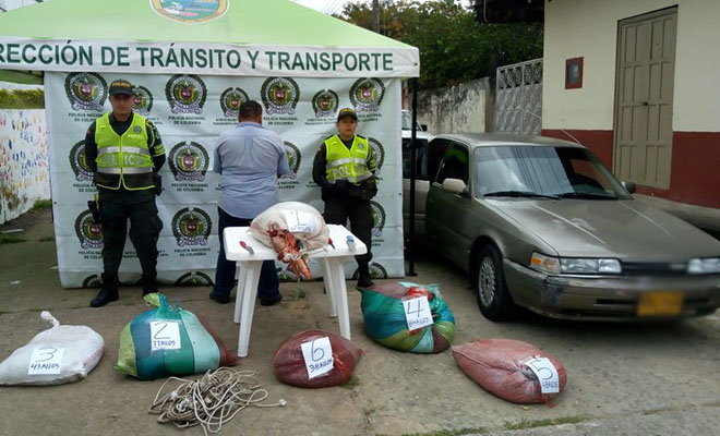Avanzan-labores-de-la Policía Nacional-contra-el hurto-sobre-cabezas-de-ganado-en-el Meta