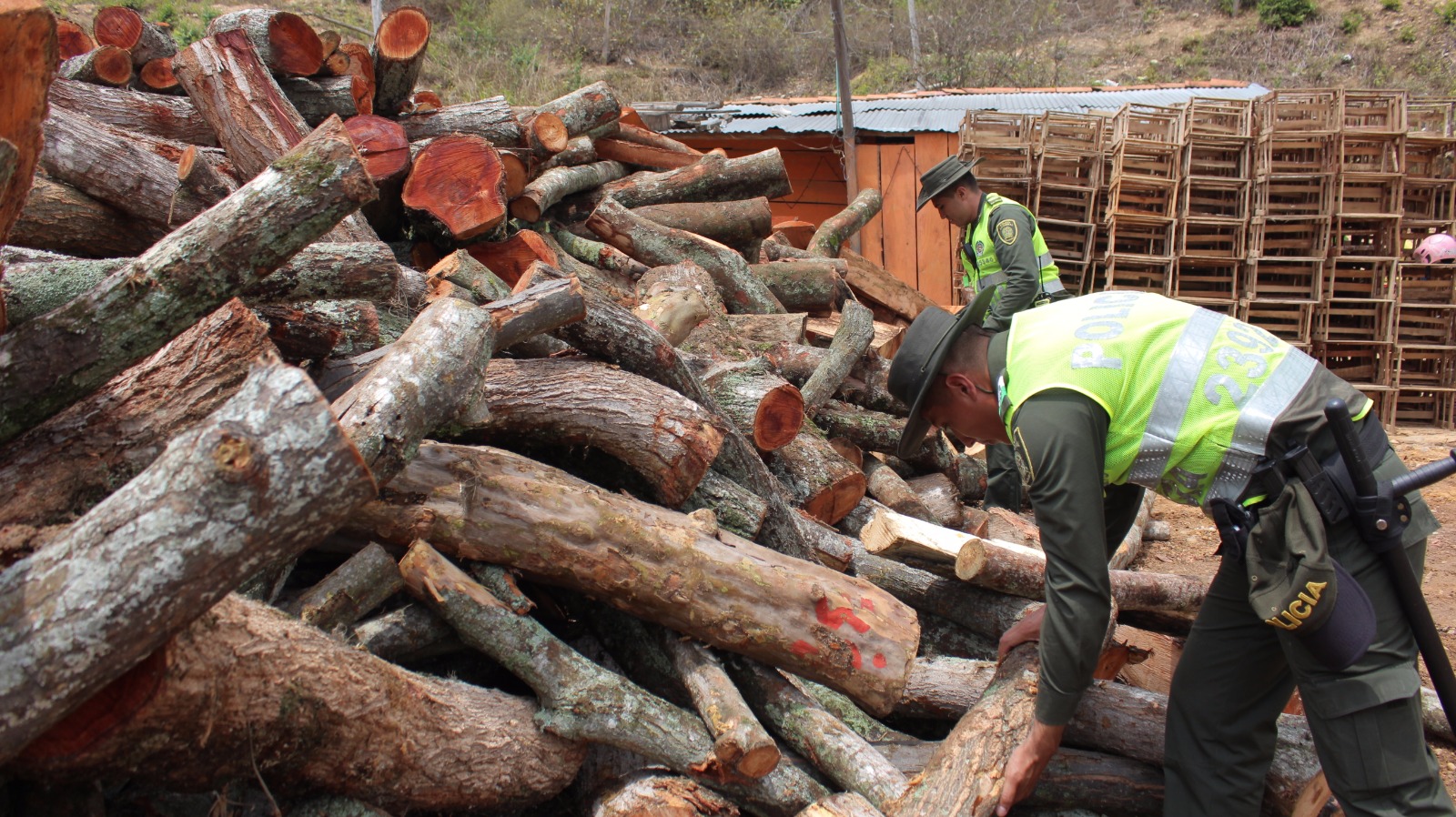 capturados_siete_hombres_delitos_ambientales__