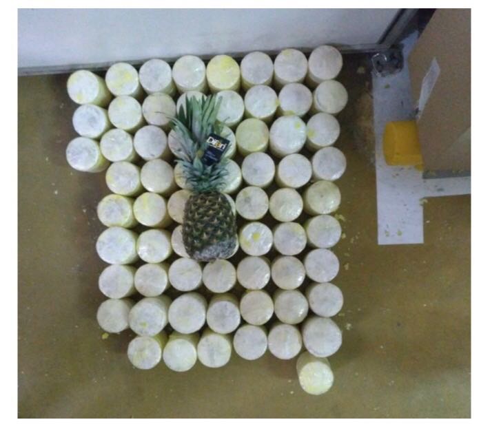 Capturamos-a-la-“Pibe”