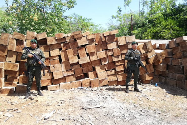 Desarrollamos actividades operativas para la protección del ambiente