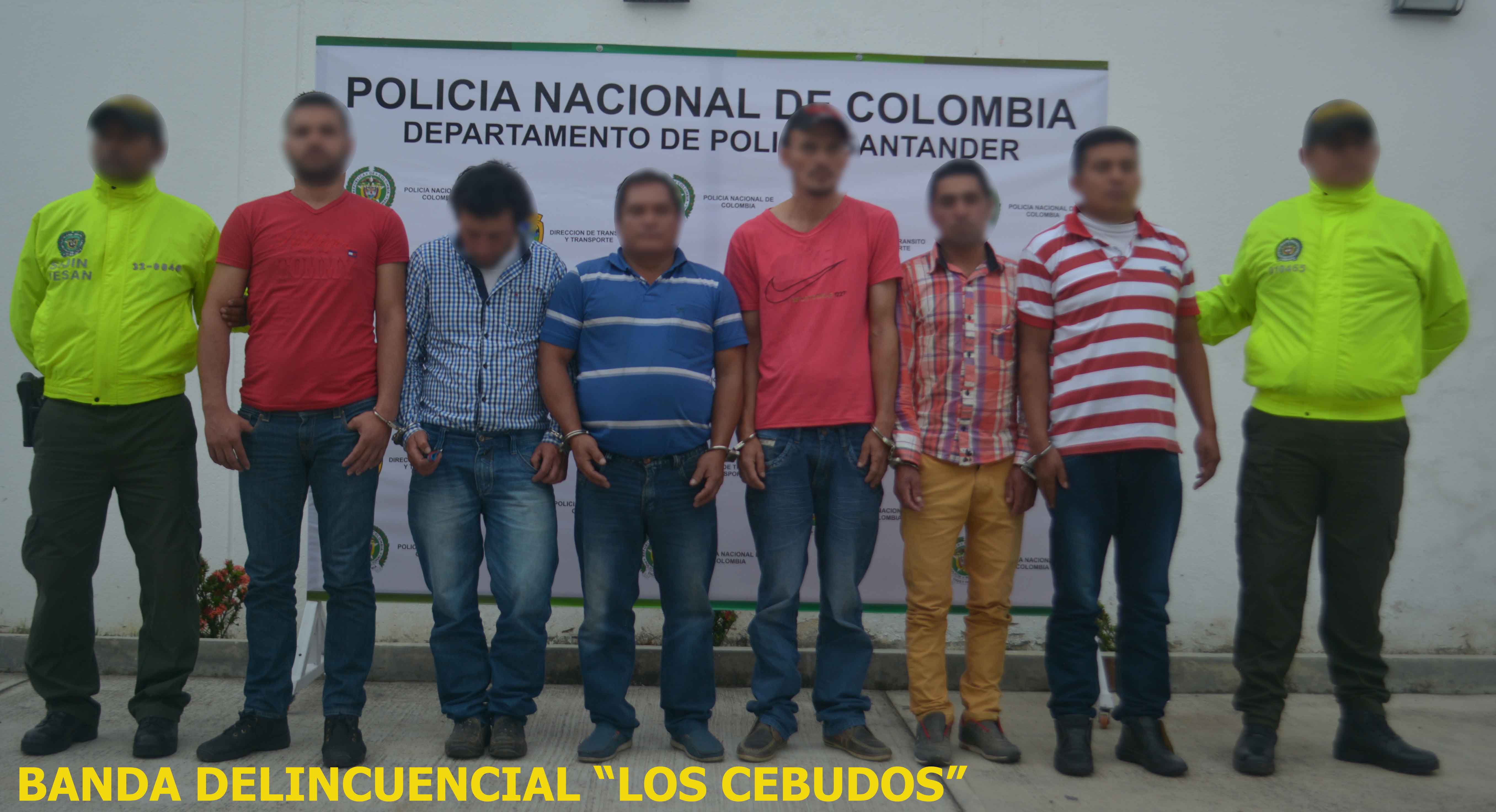 cayeron_los_cebudos_1