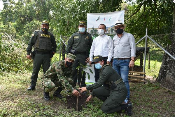 cenop_Siembra_de_arboles